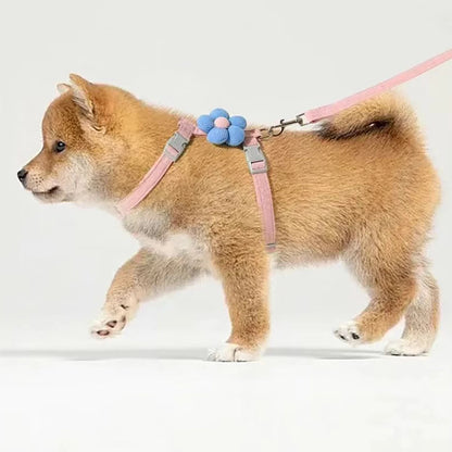 Adjustable Breathable Dog & Cat Harness Set