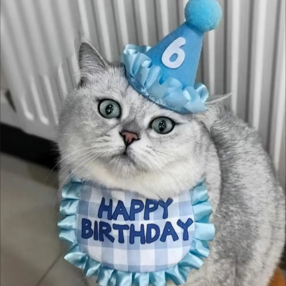 Cat Birthday Party Hat & Scarf Set