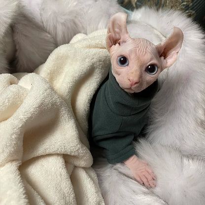 Soft Cotton Sphynx Cat Top