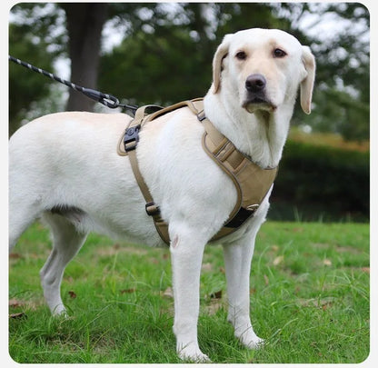 Dog Harness & Leash Set with AirTag Holder
