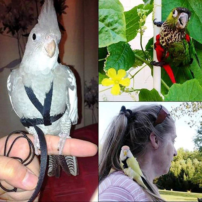 Parrot Flight Harness & Leash