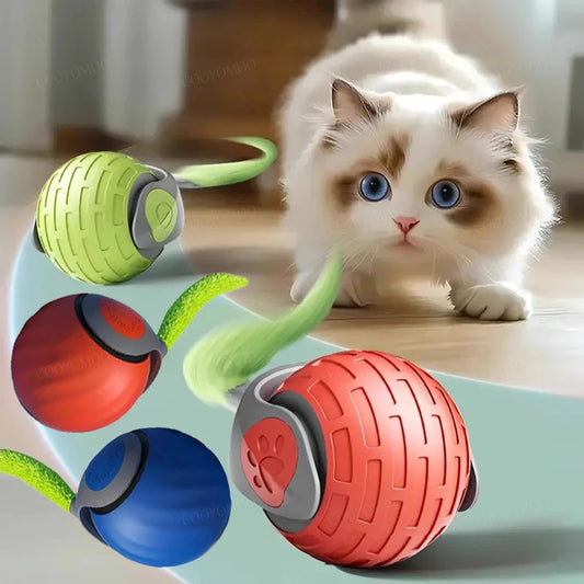 Automatic Rolling Cat Ball