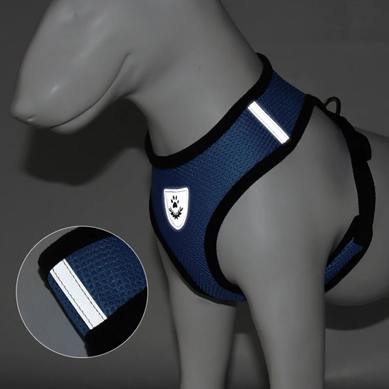 Reflective Cat Harness & Leash Set