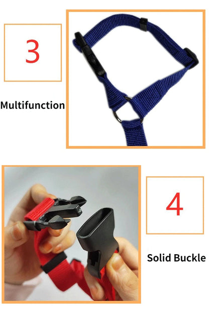 2-in-1 Dog Car Seat Belt & Leash