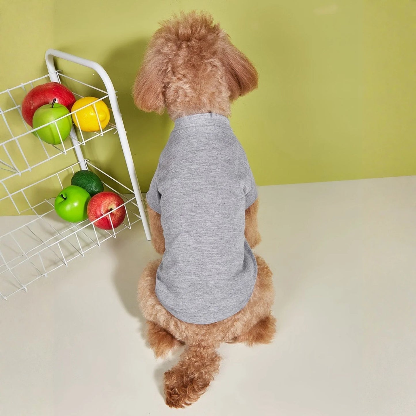 Solid Summer Dog Tee