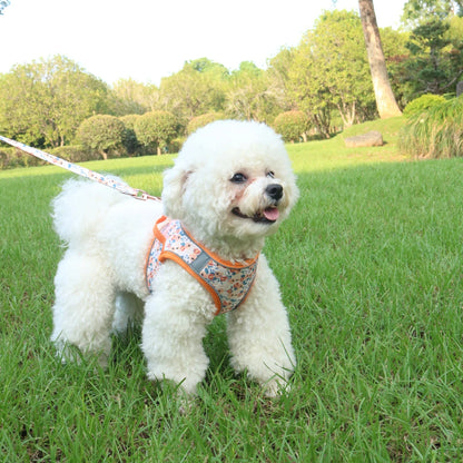 Small Dog Harness & Leash Set