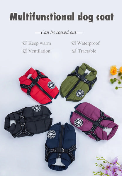 Winter Dog Jacket with Built-In Harness
