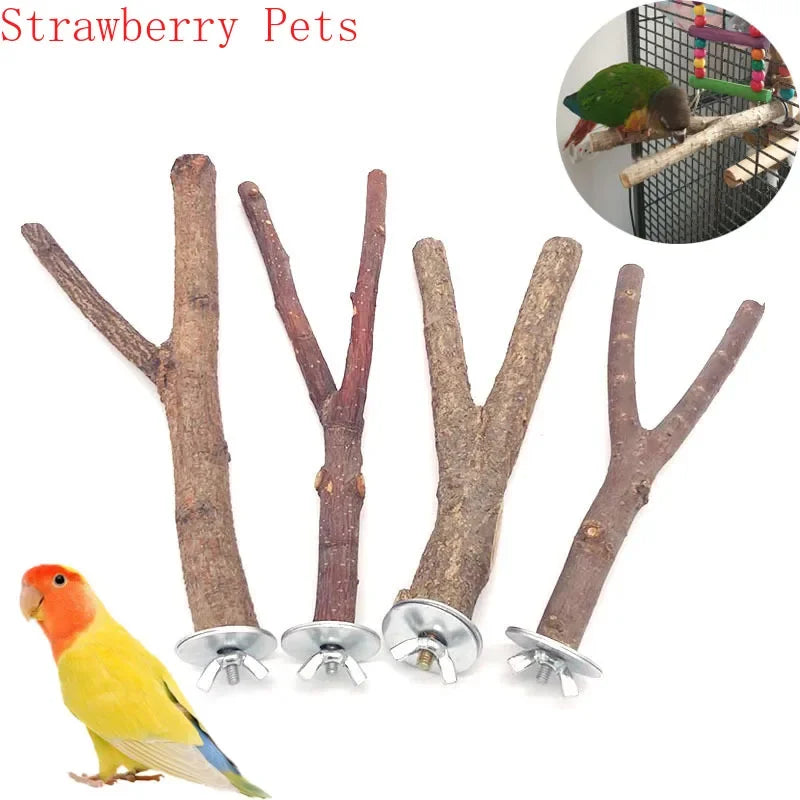 Natural Wood Branch Bird Perch