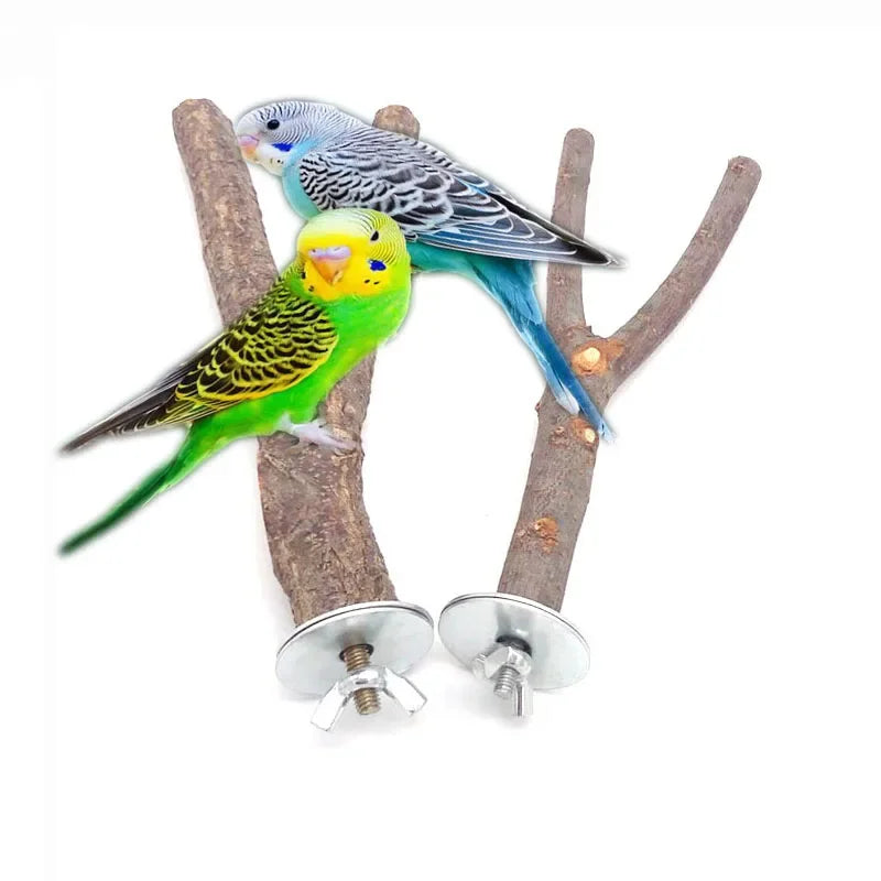 Natural Wood Branch Bird Perch