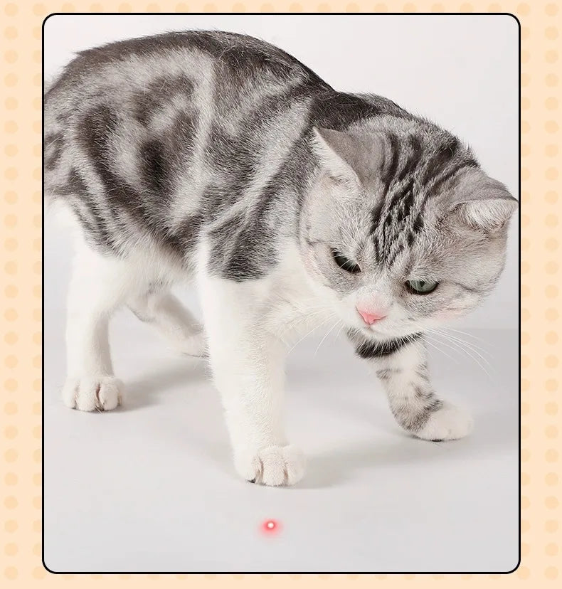 Automatic Laser Cat Teaser Collar