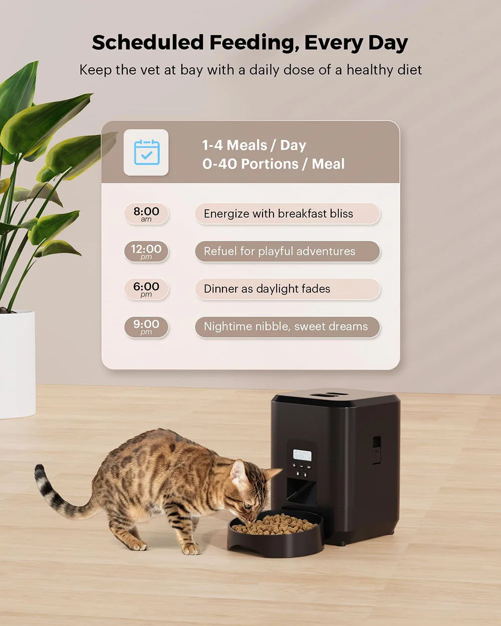 Automatic Timed Pet Feeder