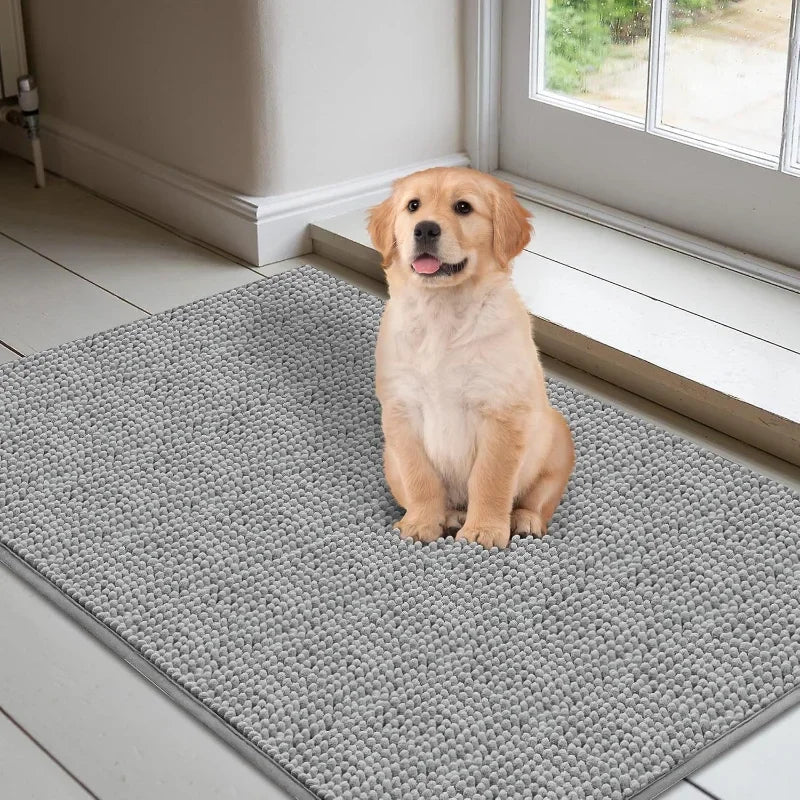 Absorbent Muddy-Paw Doormat