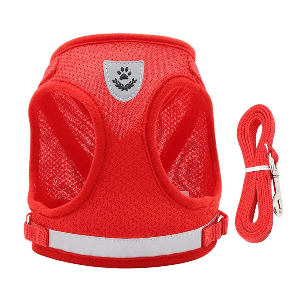 Reflective Escape-Proof Cat Harness Set