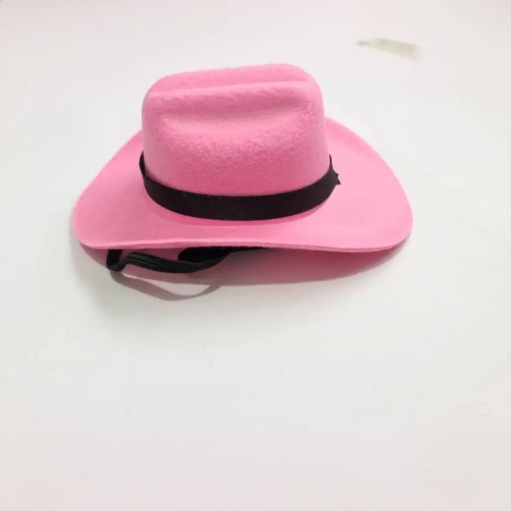 Dog Cowboy Hat