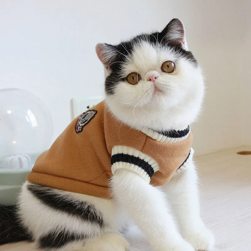 Winter Knit Pet Pullover
