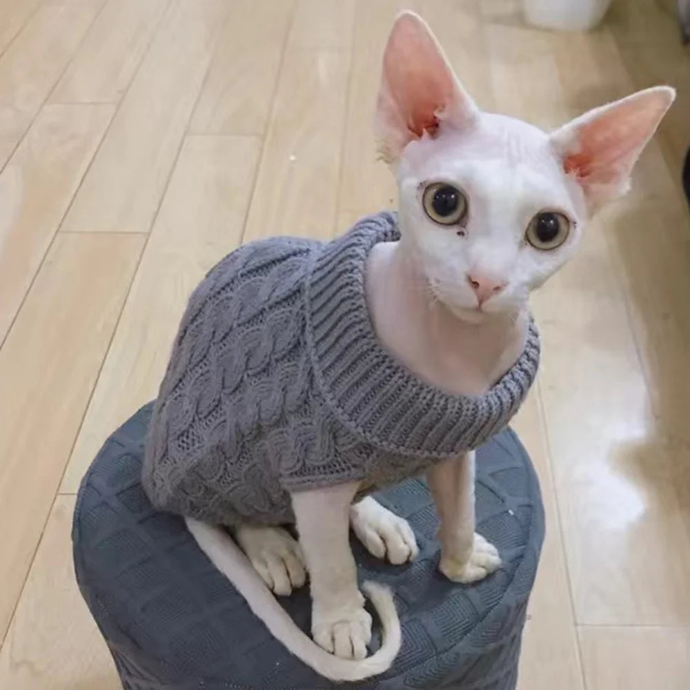 Knitted Sphynx Cat Sweater