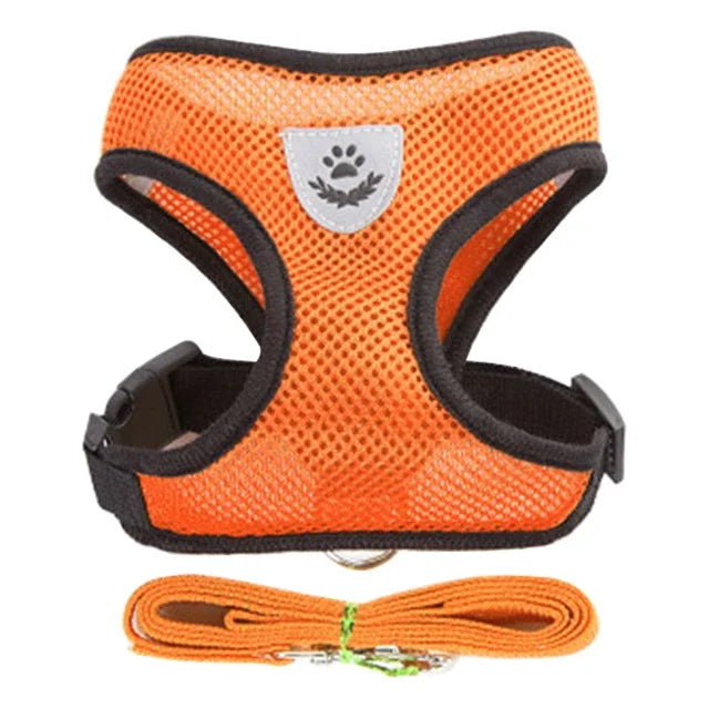 Mesh Cat & Dog Vest Harness Set