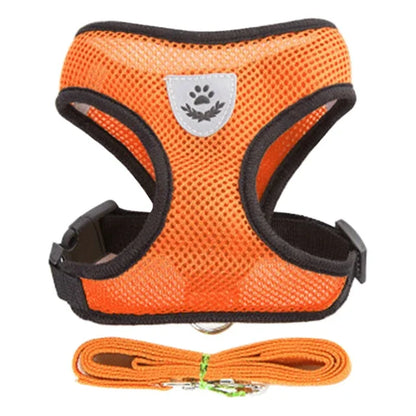 Mesh Cat & Dog Vest Harness Set