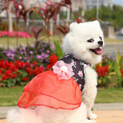 Rose Summer Dog Dress