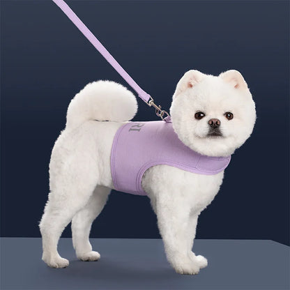 Escape-Proof Pet Vest Harness & Leash