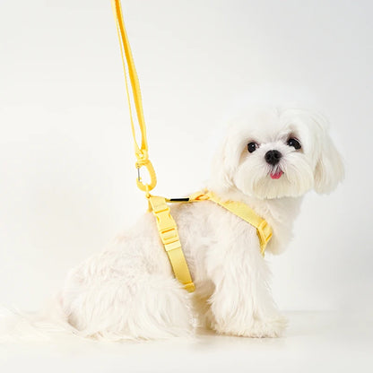 Macaron Dog Harness, Collar & Leash Set