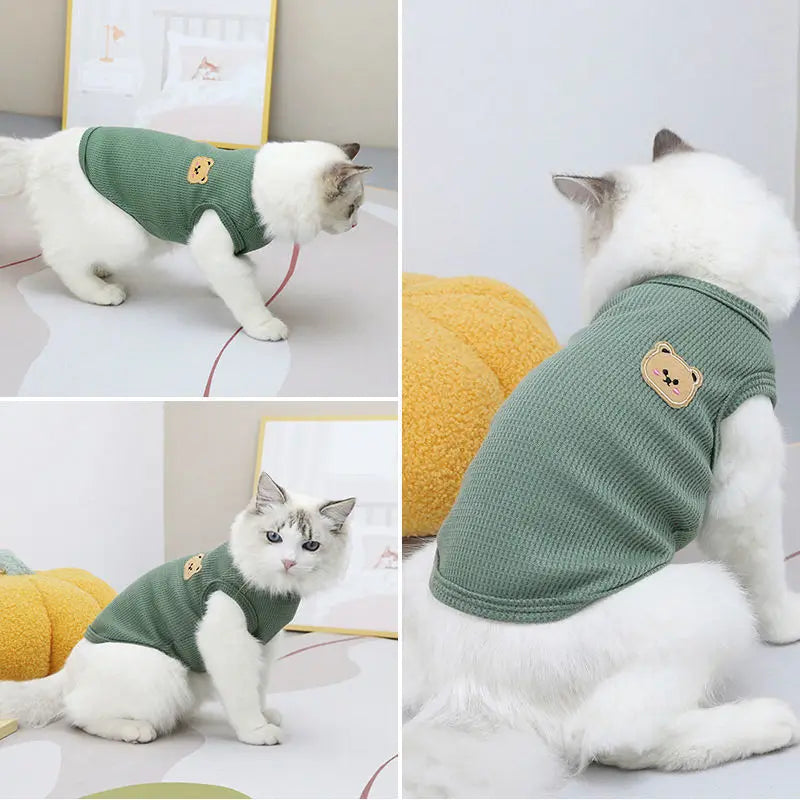 Green Bear Dog Tee