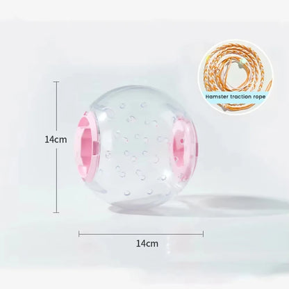 Hamster Exercise Ball