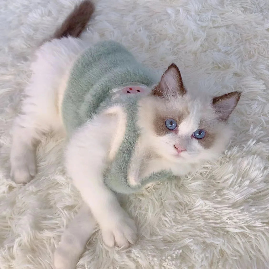 Faux Fur Plush Pet Vest
