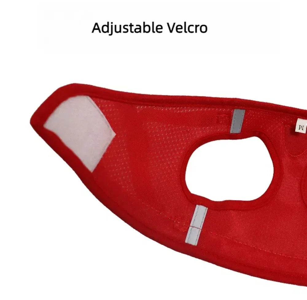 Reflective Escape-Proof Cat Harness Set