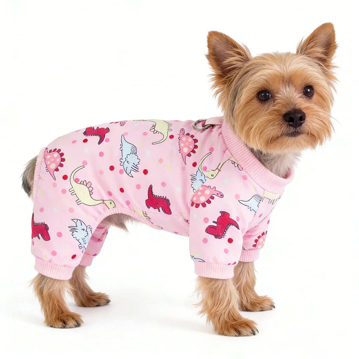 Dog Pajama Onesie