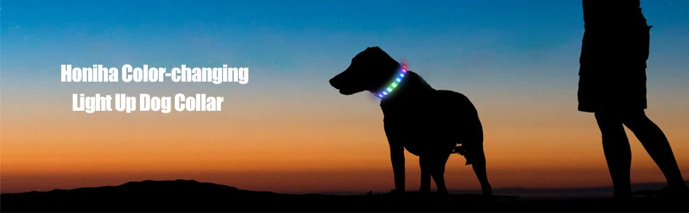 LED Light-Up Dog Collar