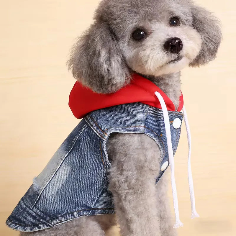 Denim Dog Jacket with Hood