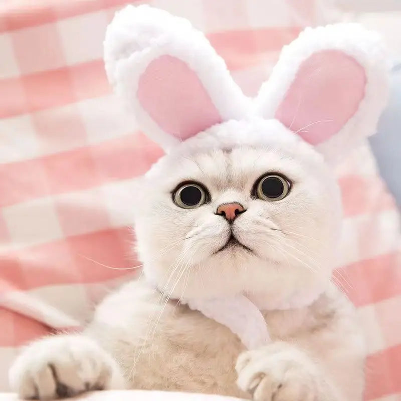 Bear & Rabbit Hooded Pet Hat