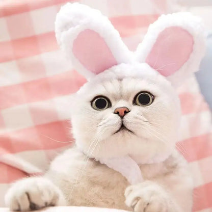 Bear & Rabbit Hooded Pet Hat
