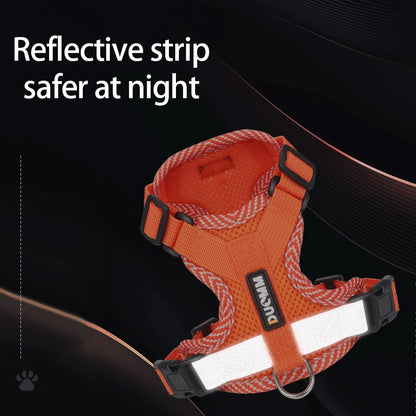 Reflective Mesh Cat Harness & Leash Set