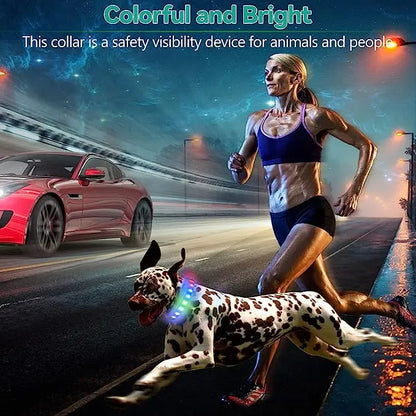 LED Light-Up Dog Collar