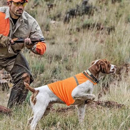 Reflective Hi-Vis Dog Vest