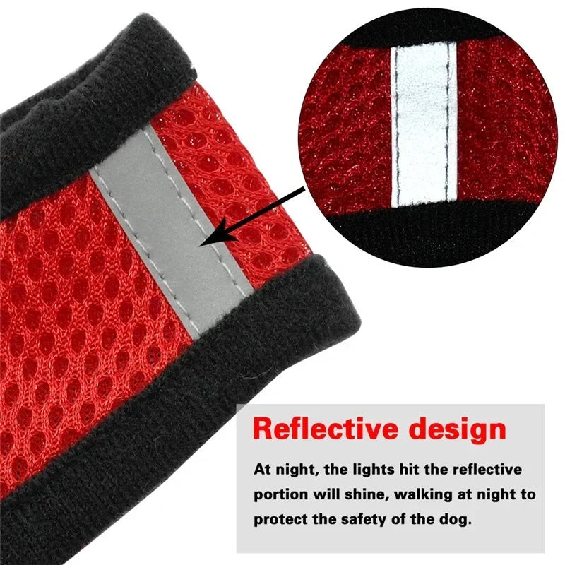Mesh Cat & Dog Vest Harness Set