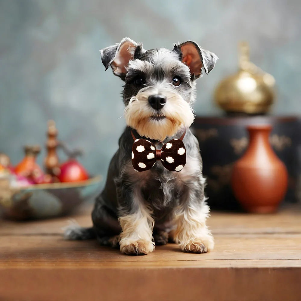 Adjustable Dog & Cat Bow Ties (5/10 Pack)