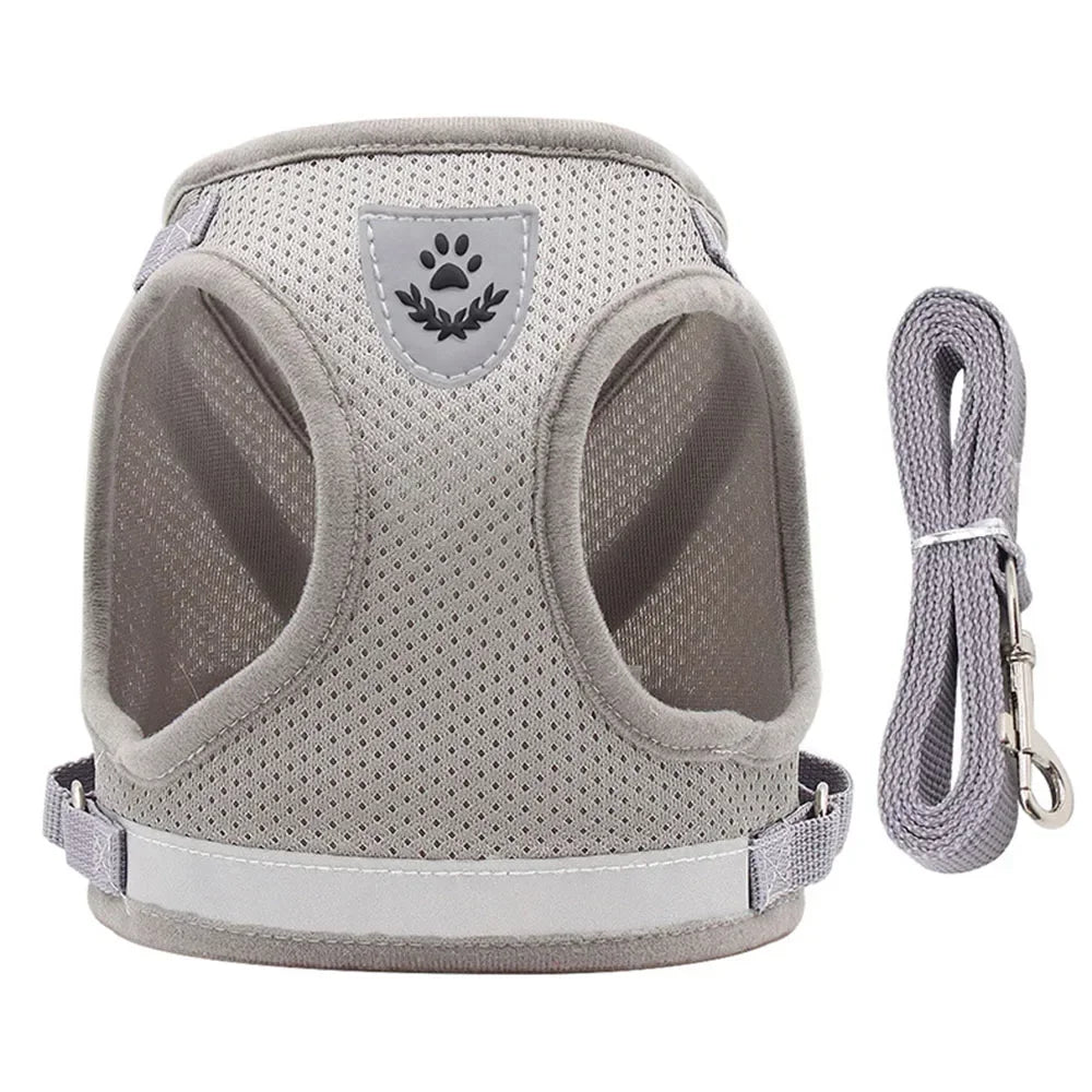 Reflective Escape-Proof Cat Harness Set