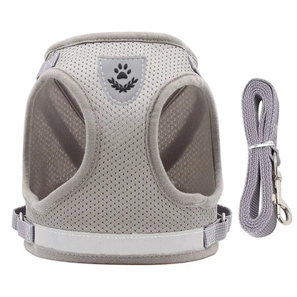 Reflective Escape-Proof Cat Harness Set