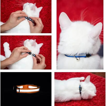 Reflective Breakaway Cat Collar