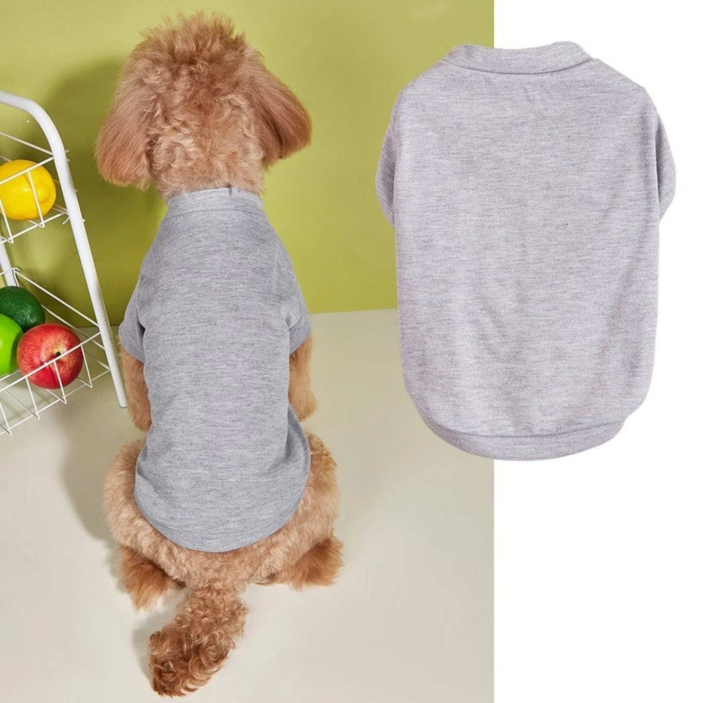 Solid Summer Dog Tee
