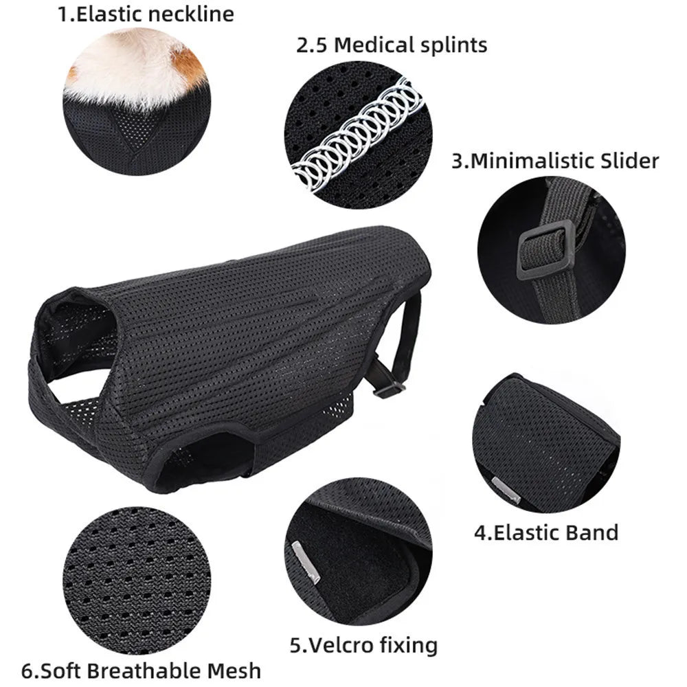 Dog IVDD Back Brace & Support