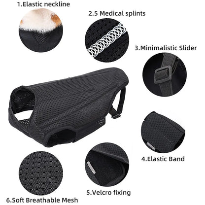 Dog IVDD Back Brace & Support