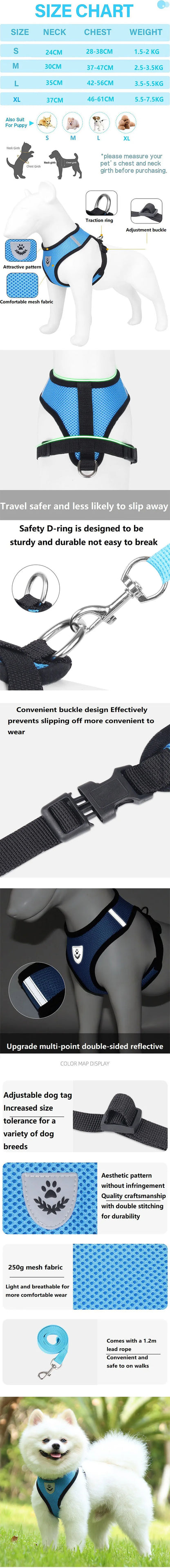 Anti-Escape Cat Vest Harness & Leash