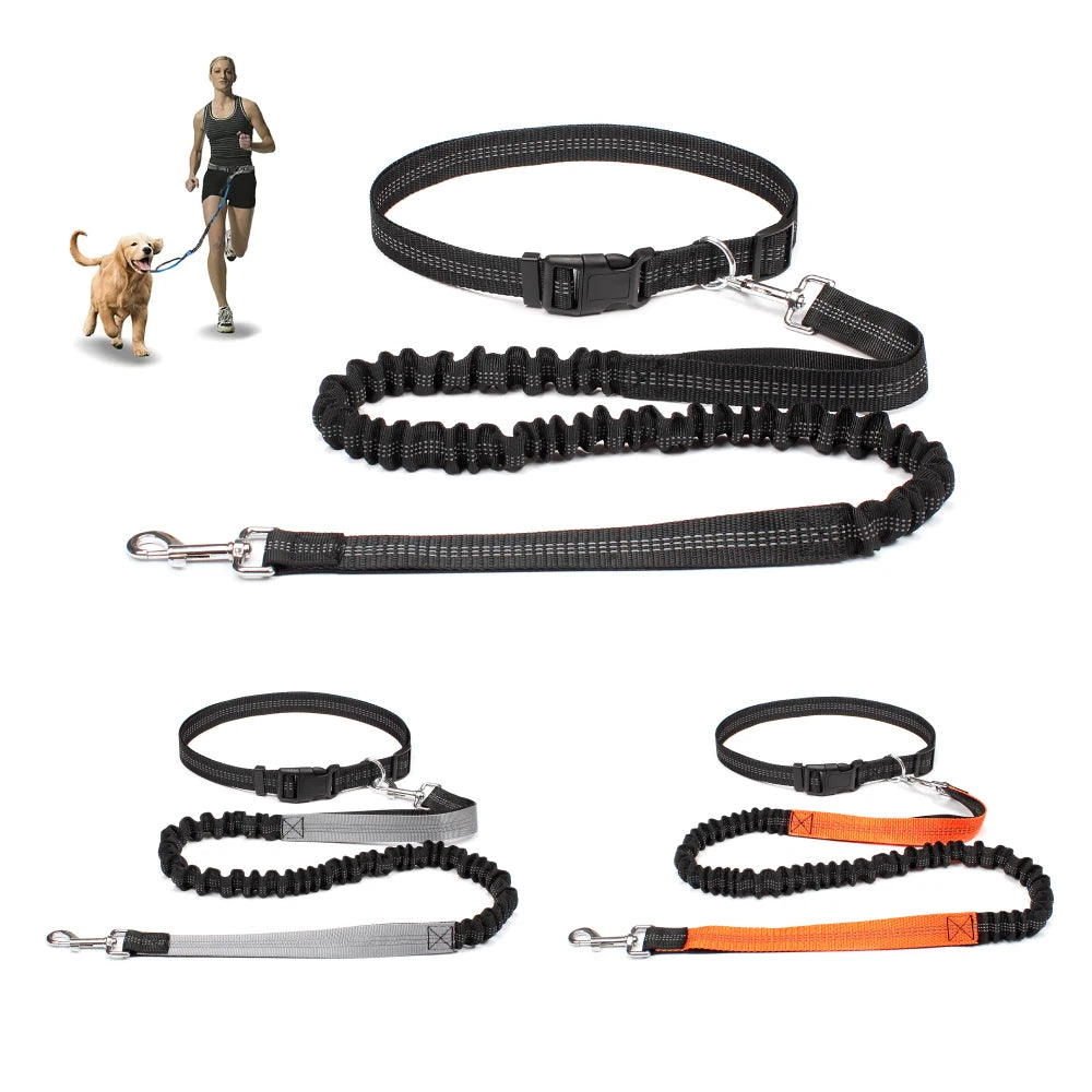 Hands-Free Dog Leash with Waist Belt