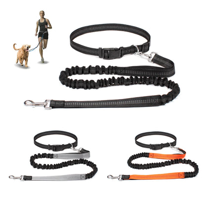 Hands-Free Dog Leash with Waist Belt