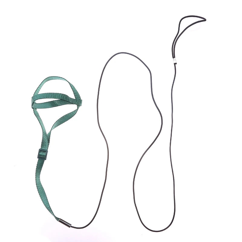 Parrot Flight Harness & Leash