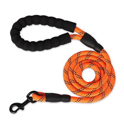 Heavy-Duty Dog Leash